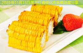 2025年11月15日黑龙江省绥化市售粮进度分享