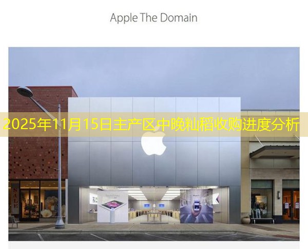 2025年11月15日主产区中晚籼稻收购进度分析