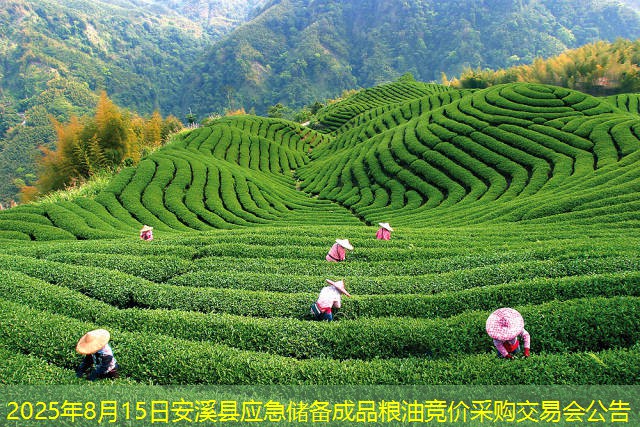 2025年8月15日安溪县应急储备成品粮油竞价采购交易会公告