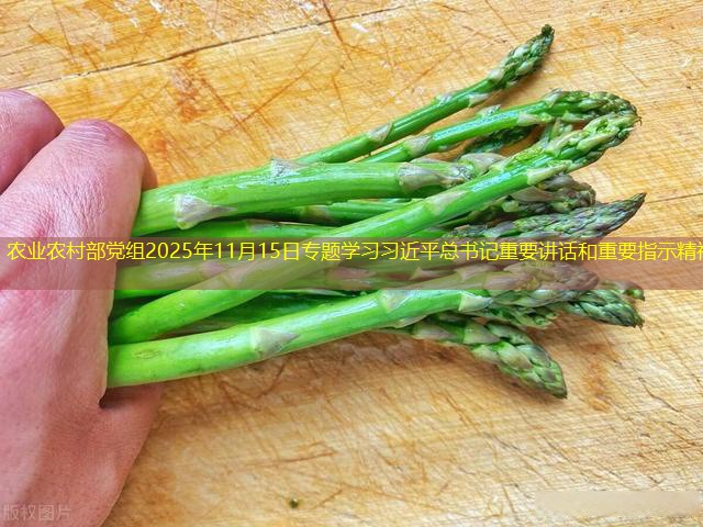 农业农村部党组2025年11月15日专题学习习近平总书记重要讲话和重要指示精神