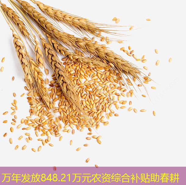 万年发放848.21万元农资综合补贴助春耕