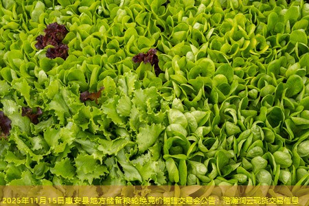 2025年11月15日惠安县地方储备粮轮换竞价销售交易会公告：浩瀚润云现货交易信息