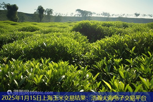 2025年1月15日上海玉米交易结果：浩瀚大海电子交易平台