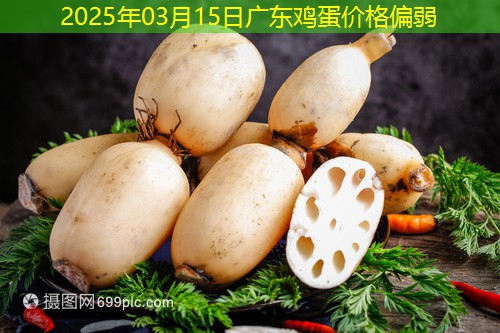 2025年03月15日广东鸡蛋价格偏弱