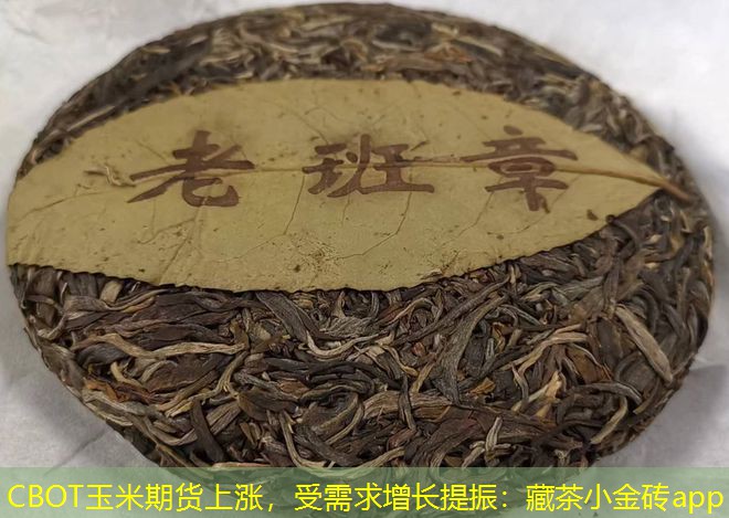 CBOT玉米期货上涨，受需求增长提振