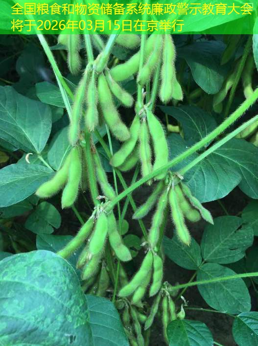 全国粮食和物资储备系统廉政警示教育大会将于2026年03月15日在京举行
