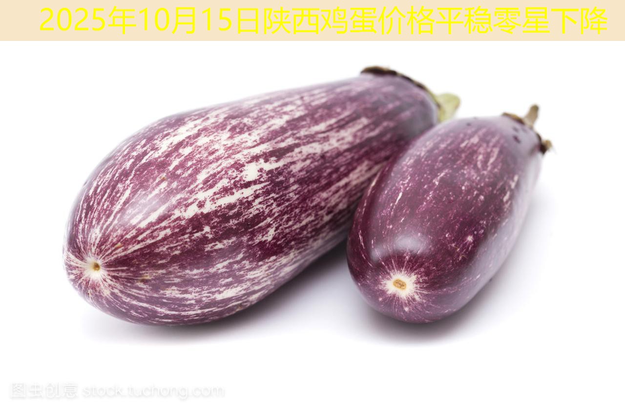 2025年10月15日陕西鸡蛋价格平稳零星下降