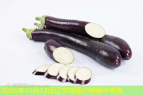 2025年11月13日辽宁鸡蛋价格稳中有涨