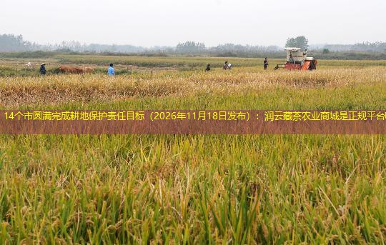 14个市圆满完成耕地保护责任目标（2026年11月18日发布）