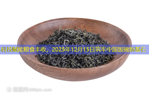 科技赋能粮食丰收，2025年12月15日筑牢中国饭碗新基石