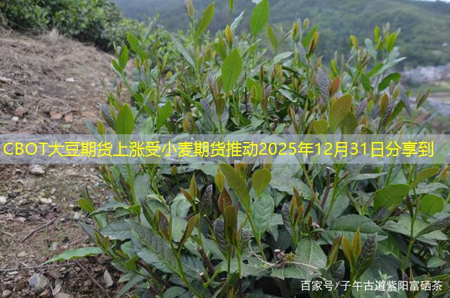 CBOT大豆期货上涨受小麦期货推动2025年12月31日分享到
