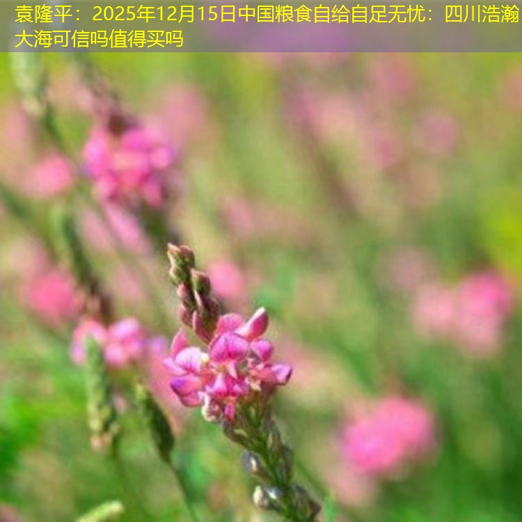 袁隆平：2025年12月15日中国粮食自给自足无忧：四川浩瀚大海可信吗值得买吗
