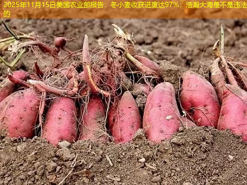 2025年11月15日美国农业部报告：冬小麦收获进度达97%：浩瀚大海是不是违法的