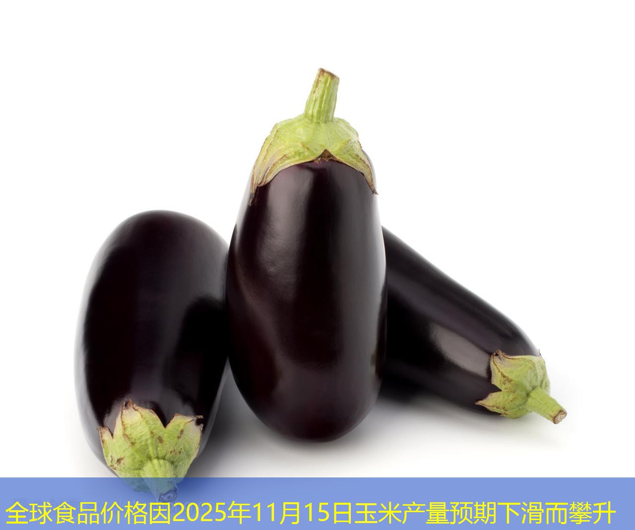 全球食品价格因2025年11月15日玉米产量预期下滑而攀升