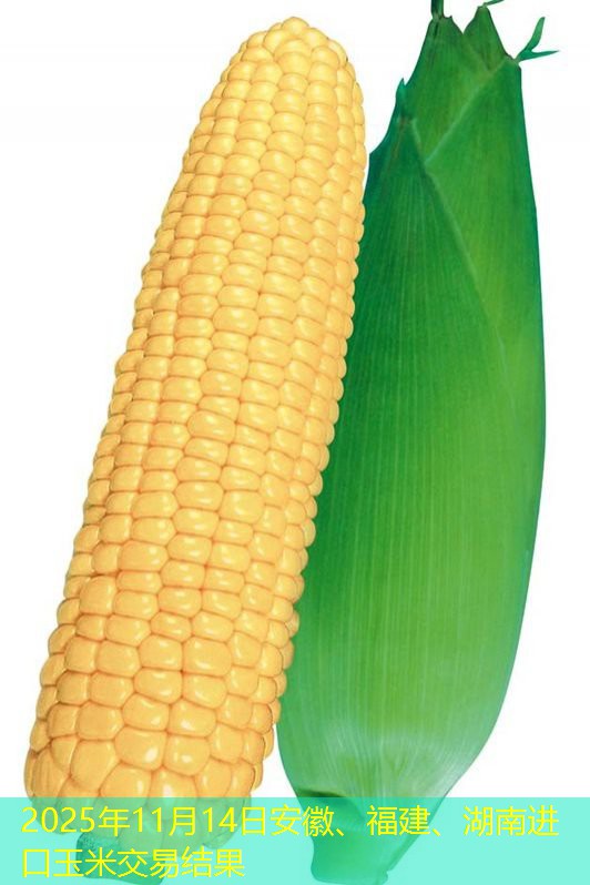 2025年11月14日安徽、福建、湖南进口玉米交易结果