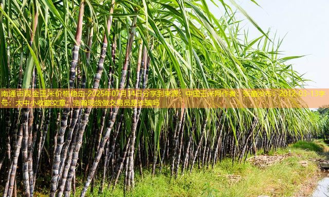 南通市现金玉米价格稳定-2025年07月14日分享到来源：中国玉米网作者：张蕾发布：2012-03-13字号：大中小收藏文章：浩瀚现货做交易员是诈骗吗