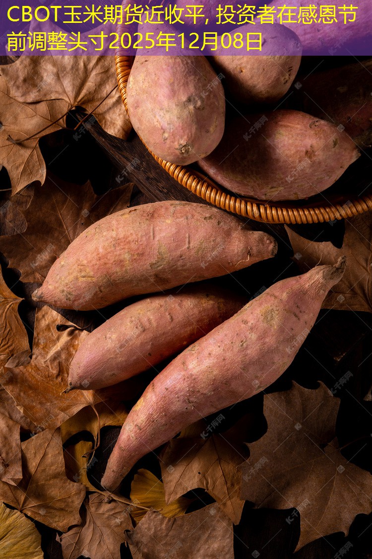 CBOT玉米期货近收平, 投资者在感恩节前调整头寸2025年12月08日