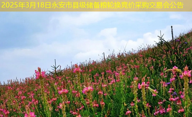 2025年3月18日永安市县级储备粮轮换竞价采购交易会公告