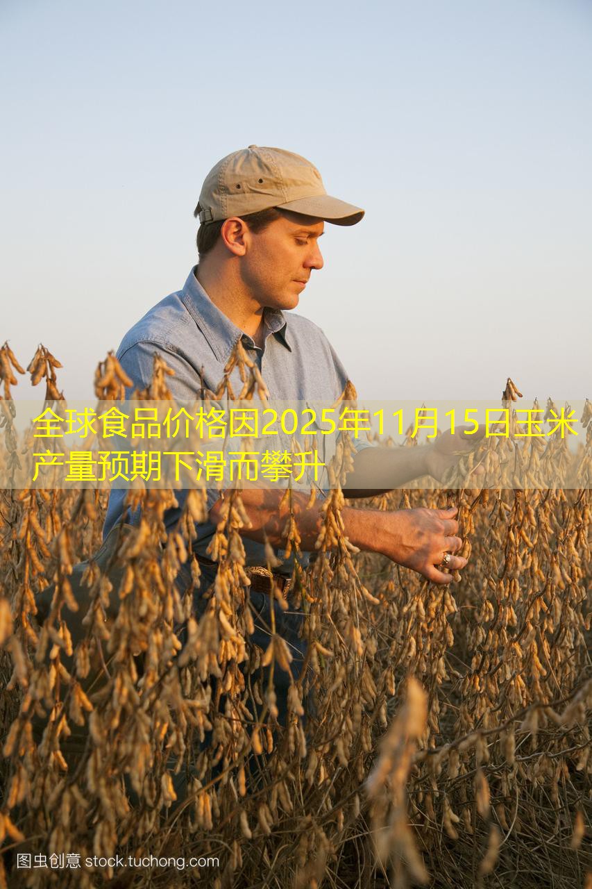 全球食品价格因2025年11月15日玉米产量预期下滑而攀升