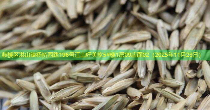 鼓楼区洪山镇杨桥西路196号江山好美家5#楼1层09店面02（2025年11月23日）