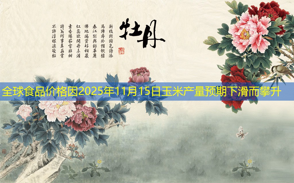 全球食品价格因2025年11月15日玉米产量预期下滑而攀升