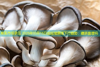 菜系市场承压 2025年03月15日或延续震荡下行趋势