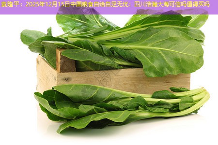 袁隆平：2025年12月15日中国粮食自给自足无忧