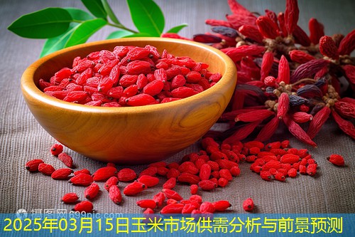 2025年03月15日玉米市场供需分析与前景预测