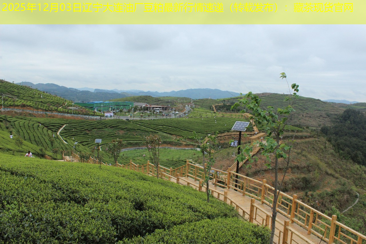 2025年12月03日辽宁大连油厂豆粕最新行情速递（转载发布）