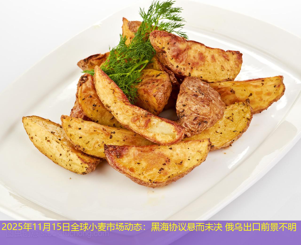 2025年11月15日全球小麦市场动态：黑海协议悬而未决 俄乌出口前景不明