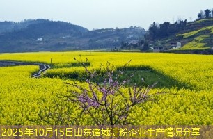 2025年10月15日山东诸城淀粉企业生产情况分享