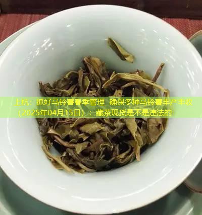 上杭：抓好马铃薯春季管理 确保冬种马铃薯丰产丰收（2025年04月15日）：藏茶现货是不是违法的