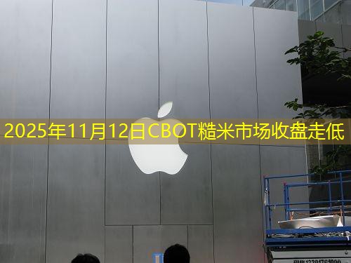 2025年11月12日CBOT糙米市场收盘走低