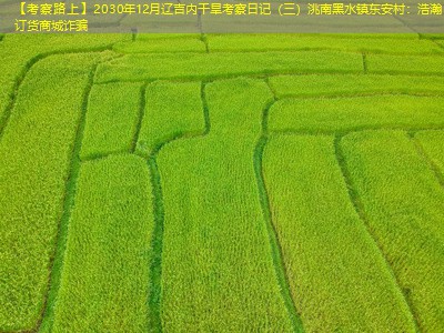 【考察路上】2030年12月辽吉内干旱考察日记（三）洮南黑水镇东安村：浩瀚订货商城诈骗