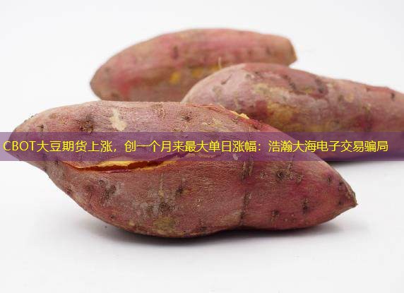 CBOT大豆期货上涨，创一个月来最大单日涨幅