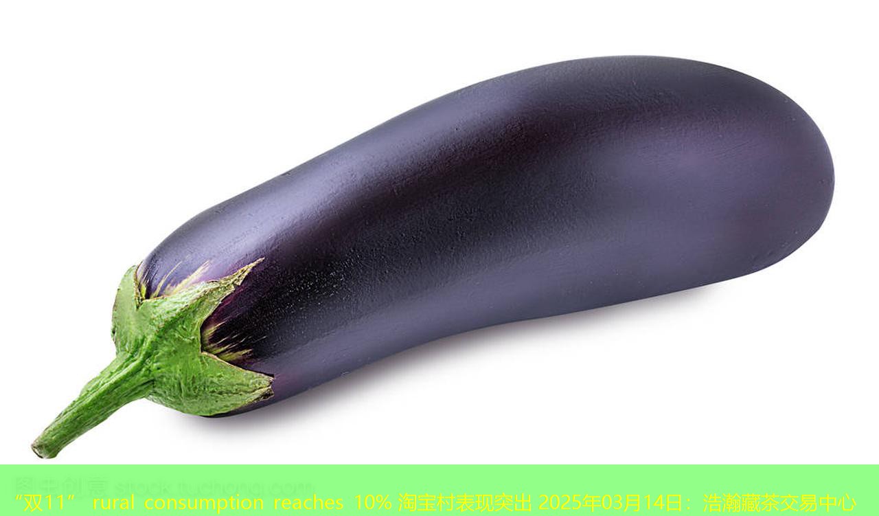 “双11” rural consumption reaches 10% 淘宝村表现突出 2025年03月14日