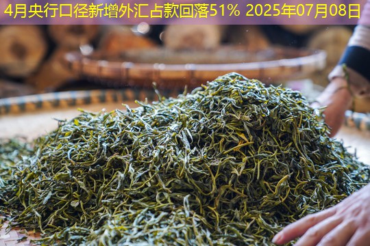 4月央行口径新增外汇占款回落51% 2025年07月08日