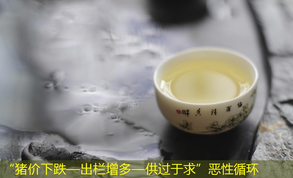 “猪价下跌—出栏增多—供过于求”恶性循环