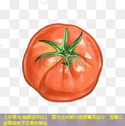 【华泰长城期货评论】 国内玉米期价继续震荡运行：浩瀚订货商城电子交易安装包