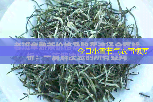 今日小雪节气农事概要