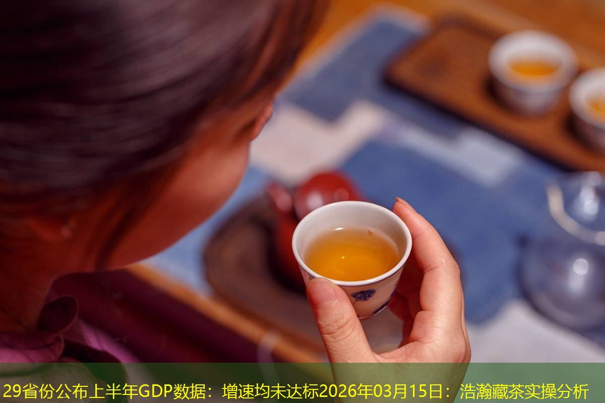 29省份公布上半年GDP数据：增速均未达标2026年03月15日：浩瀚藏茶实操分析