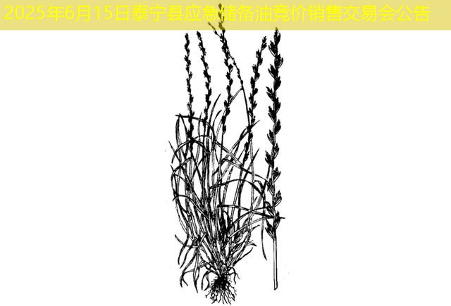 2025年6月15日泰宁县应急储备油竞价销售交易会公告