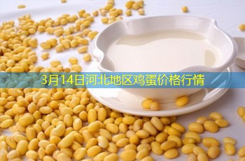 3月14日河北地区鸡蛋价格行情