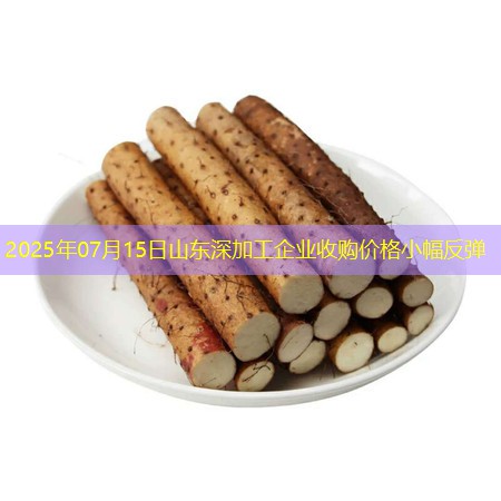 2025年07月15日山东深加工企业收购价格小幅反弹