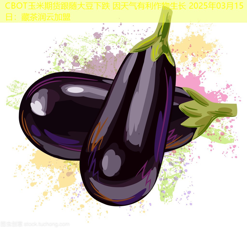 CBOT玉米期货跟随大豆下跌 因天气有利作物生长 2025年03月15日：藏茶润云加盟