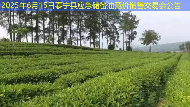 2025年6月15日泰宁县应急储备油竞价销售交易会公告