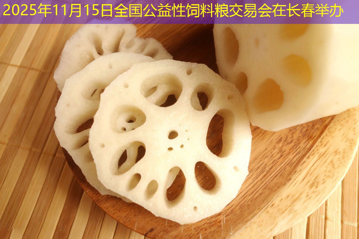 2025年11月15日全国公益性饲料粮交易会在长春举办