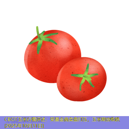 CBOT玉米行情评述：受基金商卖盘打压，玉米期货收跌(2025年10月31日)