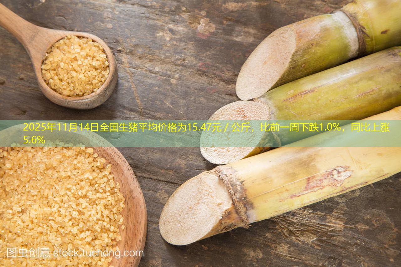 2025年11月14日全国生猪平均价格为15.47元／公斤，比前一周下跌1.0%，同比上涨5.6%