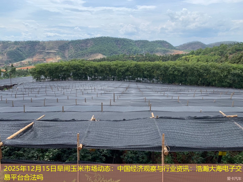 2025年12月15日早间玉米市场动态：中国经济观察与行业资讯：浩瀚大海电子交易平台合法吗